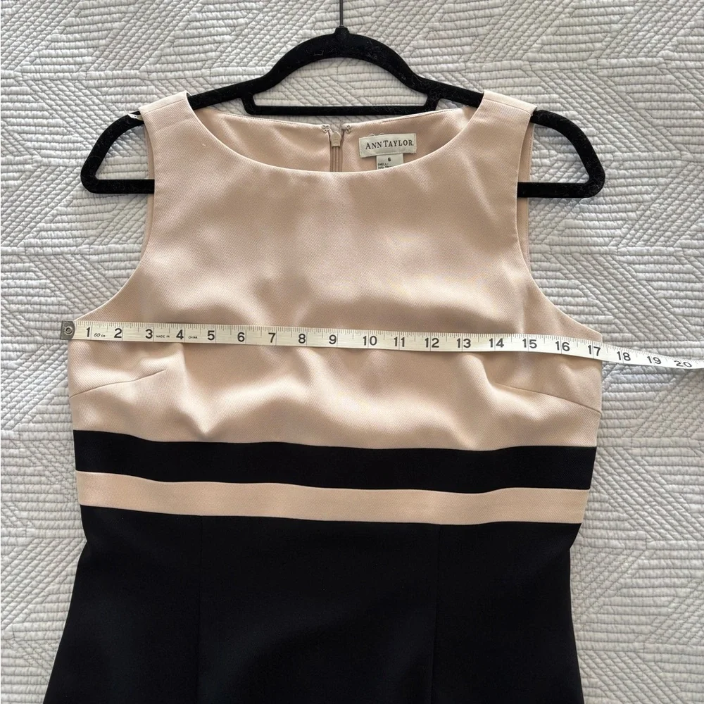 Ann Taylor Tan and Black Triacetate Sheath Dress - Picture 4 of 7
